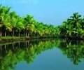 kerala-011.jpg