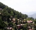 shimla (18).jpg