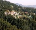 shimla (13).jpg