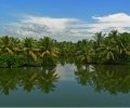 zolotoi-kerala (5).jpg