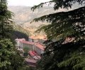 shimla (15).jpg