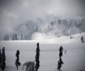 gulmarg (20).jpg