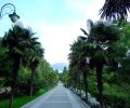 yalta_park_3.jpg